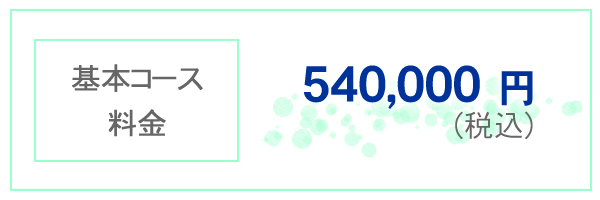 基本コース料金 540,000円