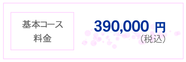 基本コース料金 390,000円