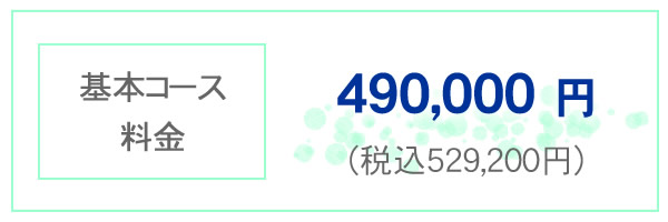 基本コース料金 490,000円 税込み529,200円 基本コース料金 490,000円 税込み529,200円