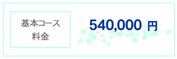 基本コース料金 540,000円
