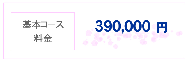 基本コース料金 390,000円
